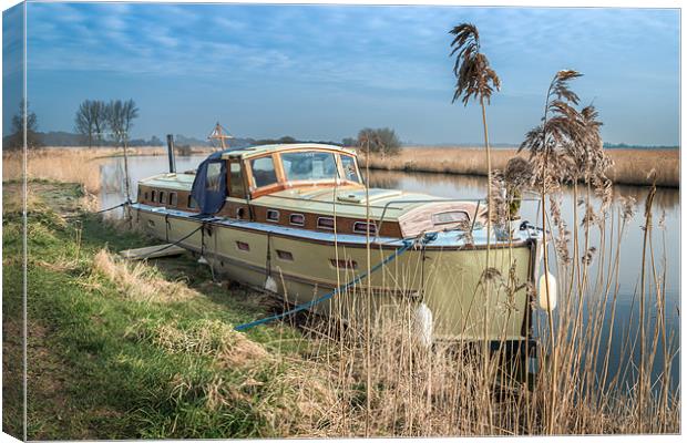 Cruiser in the River Thurne Canvas Print by Stephen Mole