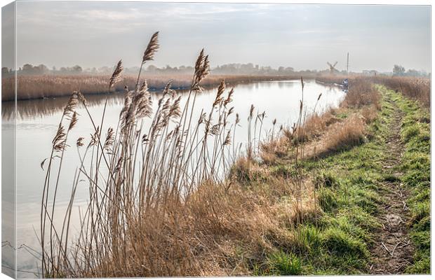 Looking towards Thurne Mill Canvas Print by Stephen Mole