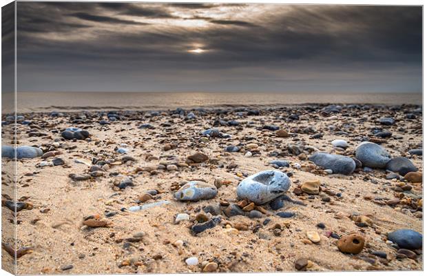 Pebbles on beach Canvas Print by Stephen Mole