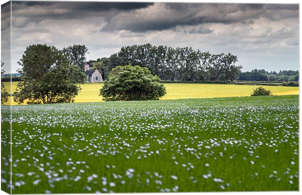 Norfolk Church across field Canvas Print by Stephen Mole