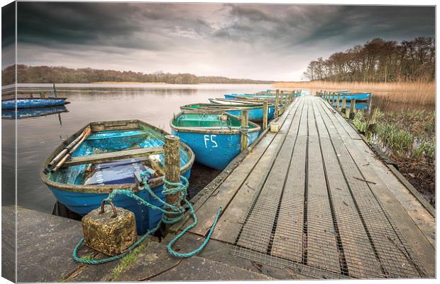 Boats moored to Jetty at Filby Canvas Print by Stephen Mole