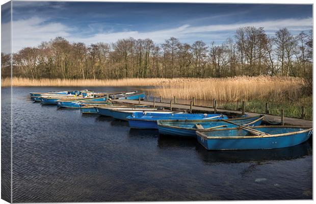 Moored dinghies at Filby Broad Canvas Print by Stephen Mole