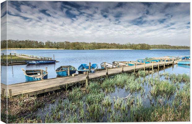 Moored at Filby Broad Canvas Print by Stephen Mole