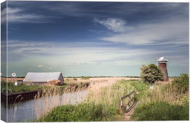 Windmill at Martham Broad Canvas Print by Stephen Mole