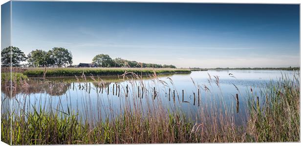 Hickling Broad Canvas Print by Stephen Mole