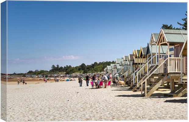 Line of Beach Huts at Wells Canvas Print by Stephen Mole