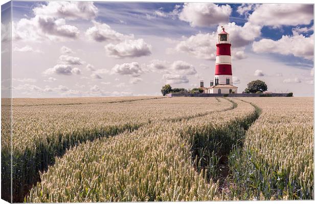 Tracks to Happisburgh Lighthouse Canvas Print by Stephen Mole