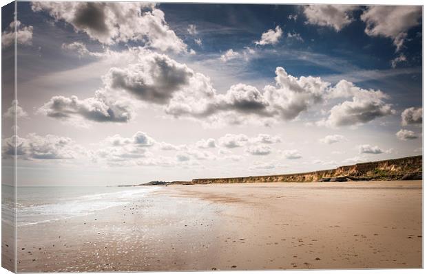 Beach and sky at Happisburgh Canvas Print by Stephen Mole
