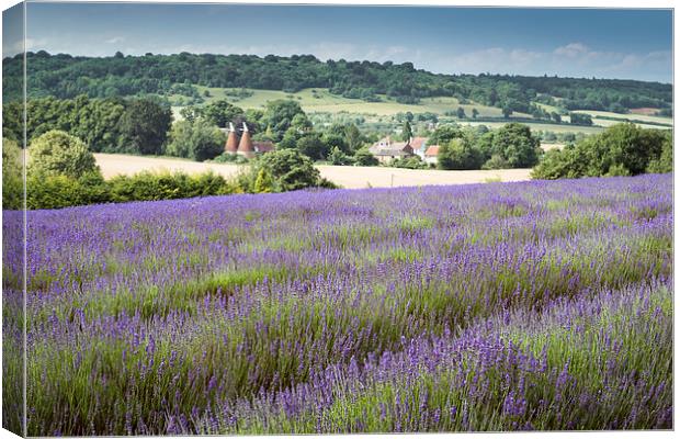  Lavender overlooking an Oasthouse Canvas Print by Stephen Mole