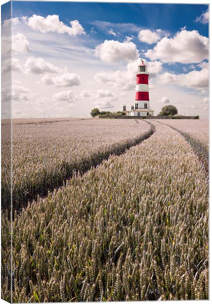  Tracks to Happisburgh Lighthouse Canvas Print by Stephen Mole