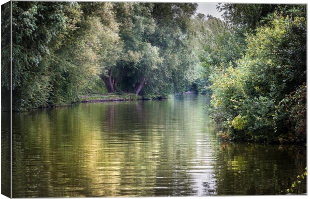  Up the River Ant Canvas Print by Stephen Mole