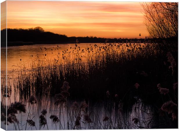 Sunset over Ormesby Little Broad Canvas Print by Stephen Mole