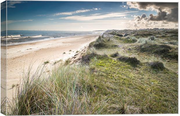  South to Hemsby Canvas Print by Stephen Mole
