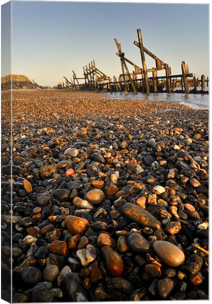 Pebble and  Wood Sea Defence Canvas Print by Stephen Mole