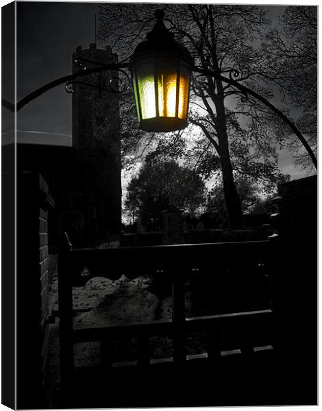 I see the light! Canvas Print by Stephen Mole