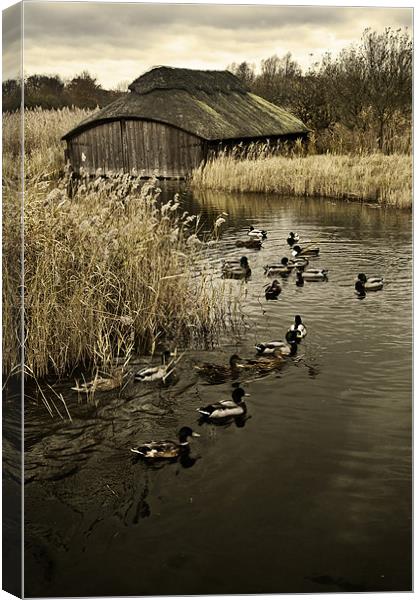 Thatched Boat House Canvas Print by Stephen Mole