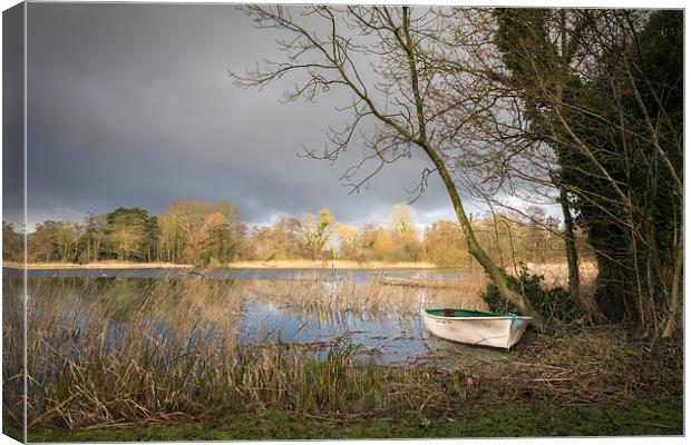  Moored at South Walsham Broad Canvas Print by Stephen Mole