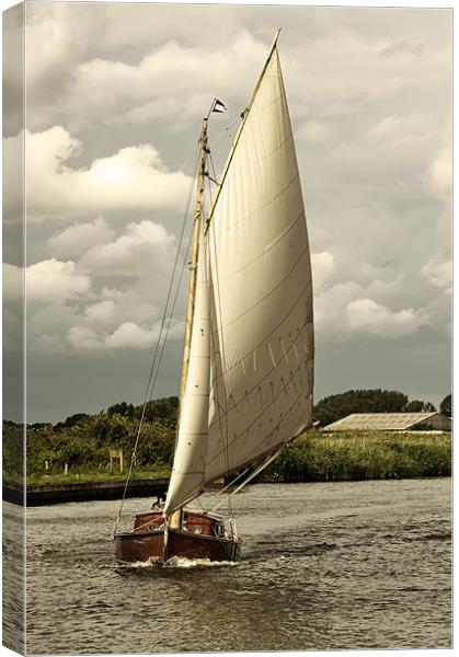 Sailing head on Canvas Print by Stephen Mole