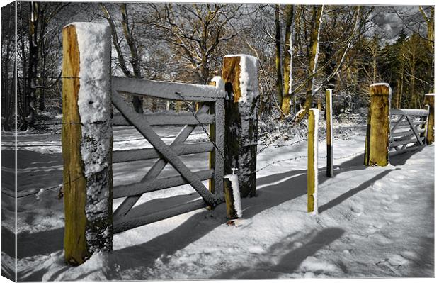 Small gate Canvas Print by Stephen Mole