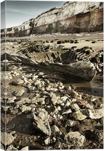 Barnacled Wreck on Hunstanton Beach Canvas Print by Stephen Mole