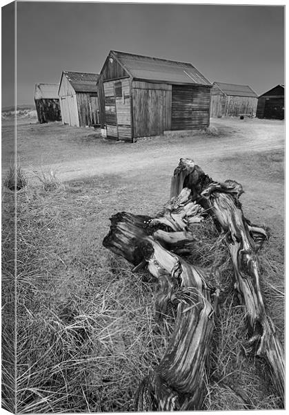 Driftwood and fishermans huts Canvas Print by Stephen Mole