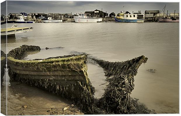 An old boat on the River Blyth facing Southwold Canvas Print by Stephen Mole