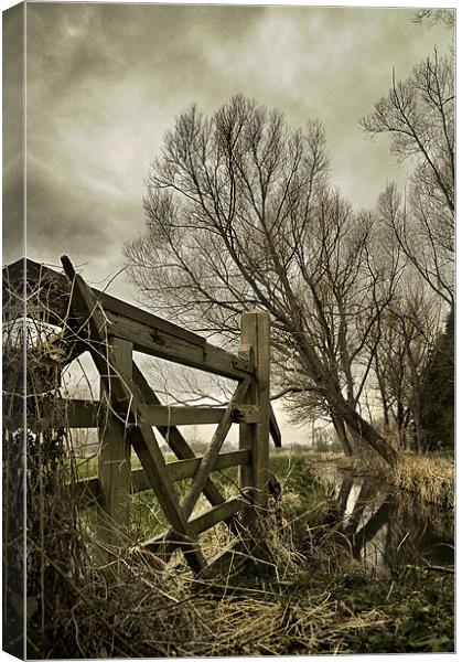 5 bar gate and ditch Canvas Print by Stephen Mole