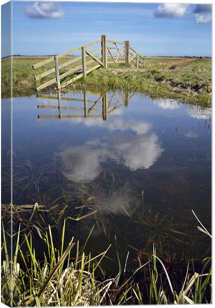 Upton Marshes Canvas Print by Stephen Mole