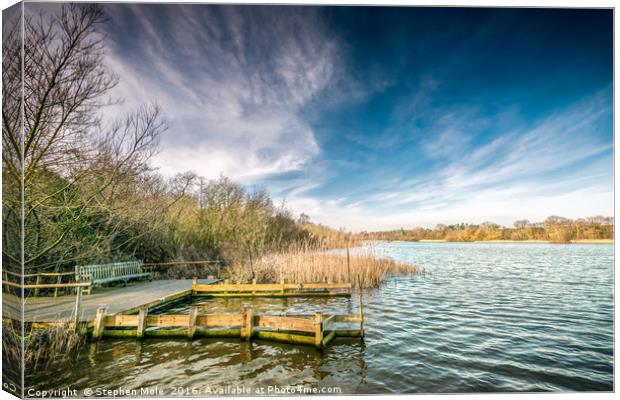 South Walsham Broad from Fairhaven Canvas Print by Stephen Mole