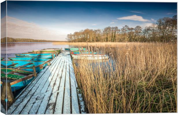 Frozen Filby Broad Canvas Print by Stephen Mole