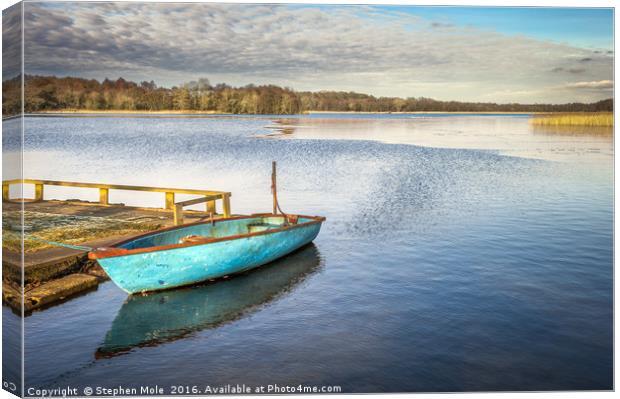 A small boat on Filby Broad Canvas Print by Stephen Mole