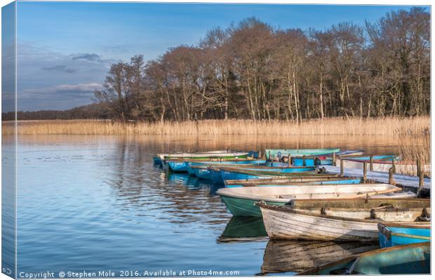Filby Broad and Boats Canvas Print by Stephen Mole