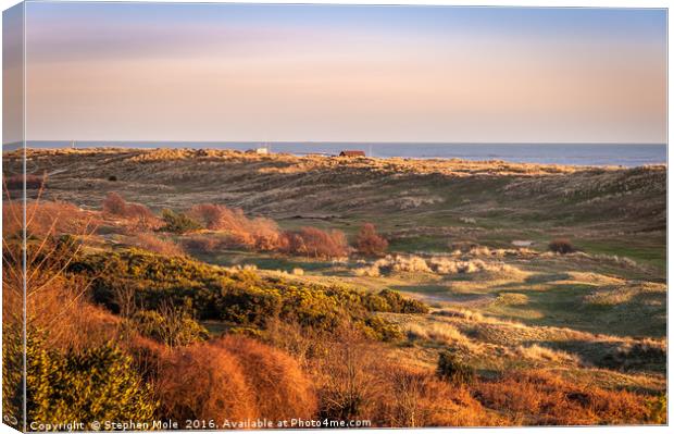 'The Valley' Winterton Canvas Print by Stephen Mole