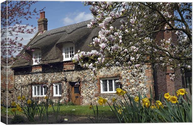 Thatched house with blossom Canvas Print by Stephen Mole