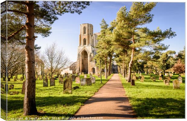 Path to Wymondham Abbey Canvas Print by Stephen Mole