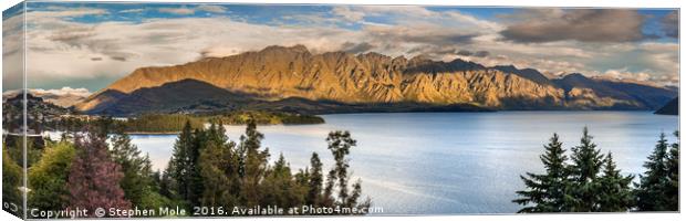 Queenstown and The Remarkables Canvas Print by Stephen Mole