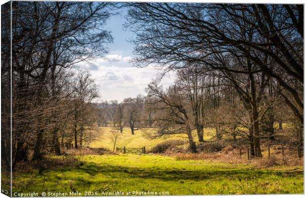 Track to 5 bar gate at Felbrigg Canvas Print by Stephen Mole