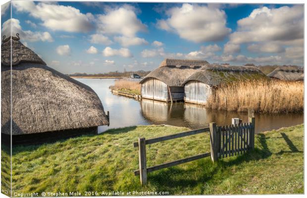 Boathouses at Hickling Broad Canvas Print by Stephen Mole