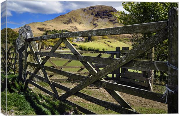 A gate in the Lake Disrict Canvas Print by Stephen Mole