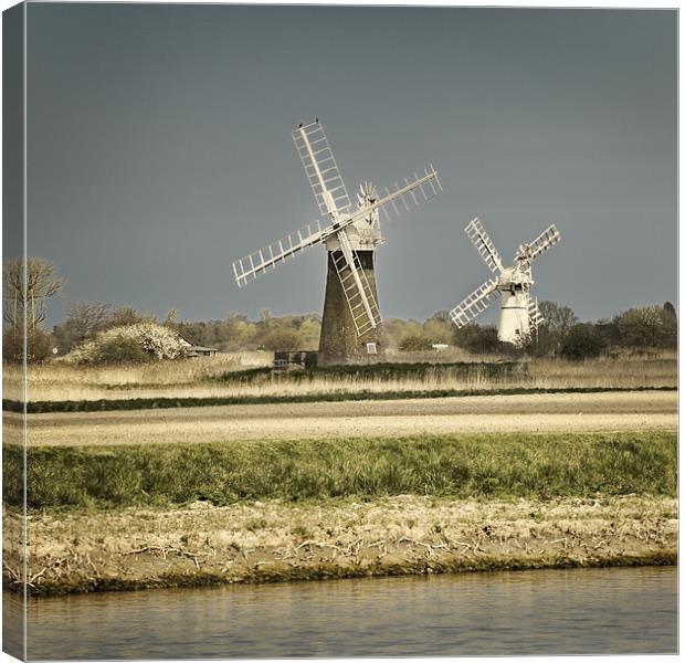 Thurne Mill and St Benets Mill Canvas Print by Stephen Mole