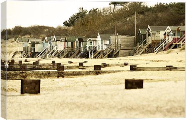 Groyns and Beach Huts Canvas Print by Stephen Mole