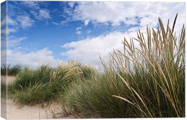 Marrams at Wells Canvas Print by Stephen Mole