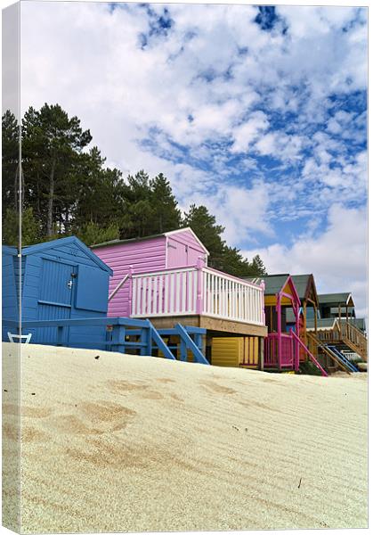 Sandy slope Canvas Print by Stephen Mole