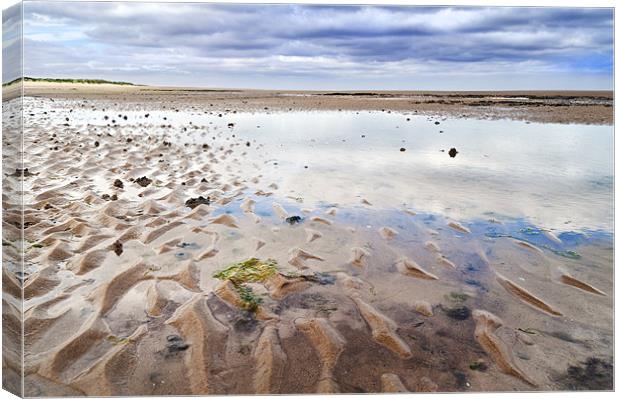 Open Sand Canvas Print by Stephen Mole