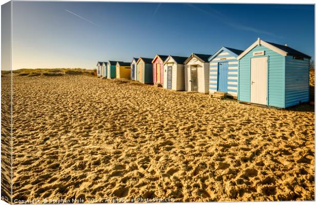 Beach Huts at Southwold Canvas Print by Stephen Mole