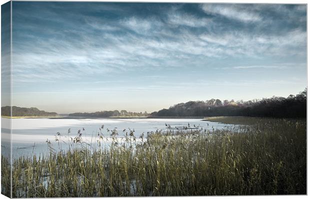 Ormesby Broad under snow and ice Canvas Print by Stephen Mole
