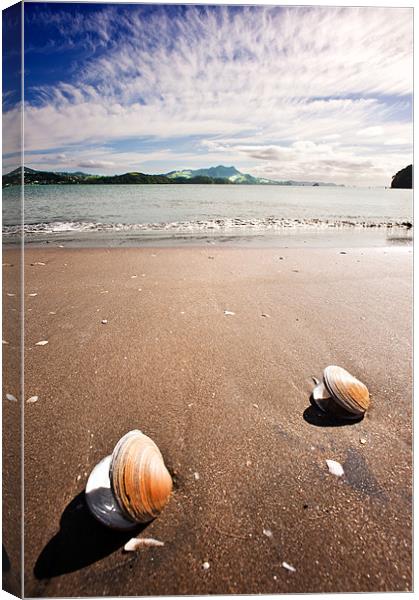 Two Shells Canvas Print by Stephen Mole