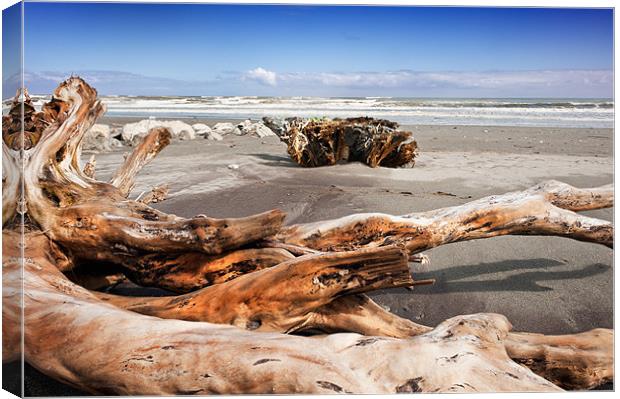 Driftwood Canvas Print by Stephen Mole