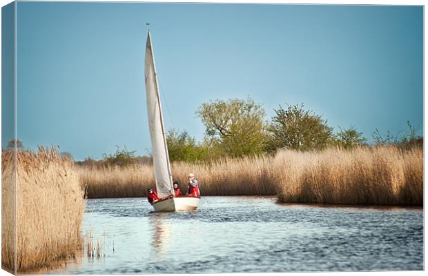 Yachting on the River Thurne Canvas Print by Stephen Mole