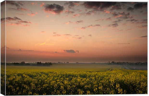 Dawn over the oil seed Canvas Print by Stephen Mole